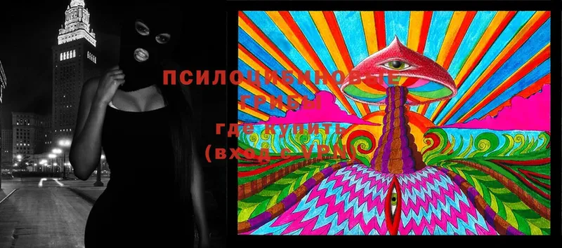 Галлюциногенные грибы Magic Shrooms  где можно купить   Ершов 